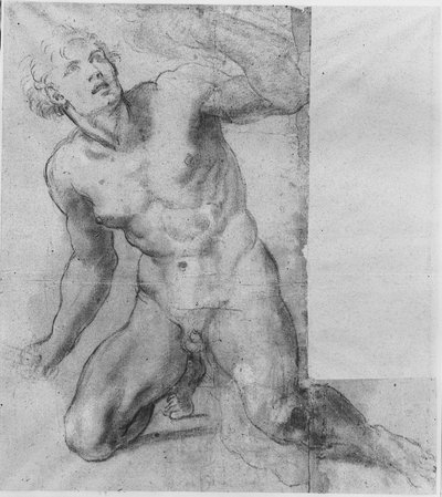 Estudio para Fineas - Galería Farnese de Annibale Carracci